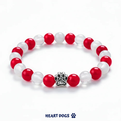 Candy Cane - Edición Navidad